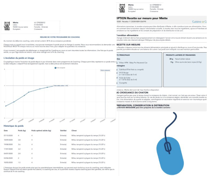 suivi d'un coaching croissance pour chaton